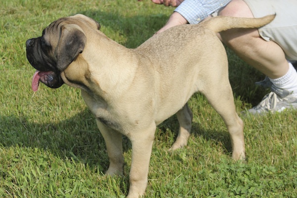 charlie5mo